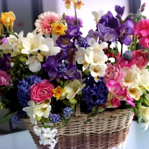 Cactus and Succulent Garden